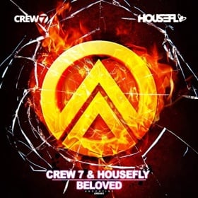 CREW 7 & HOUSEFLY - BELOVED